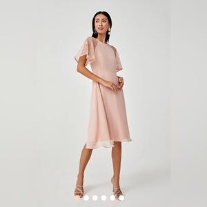 NWT Love Bonito Blush Lilian Lace Sleeve MIDI Dress